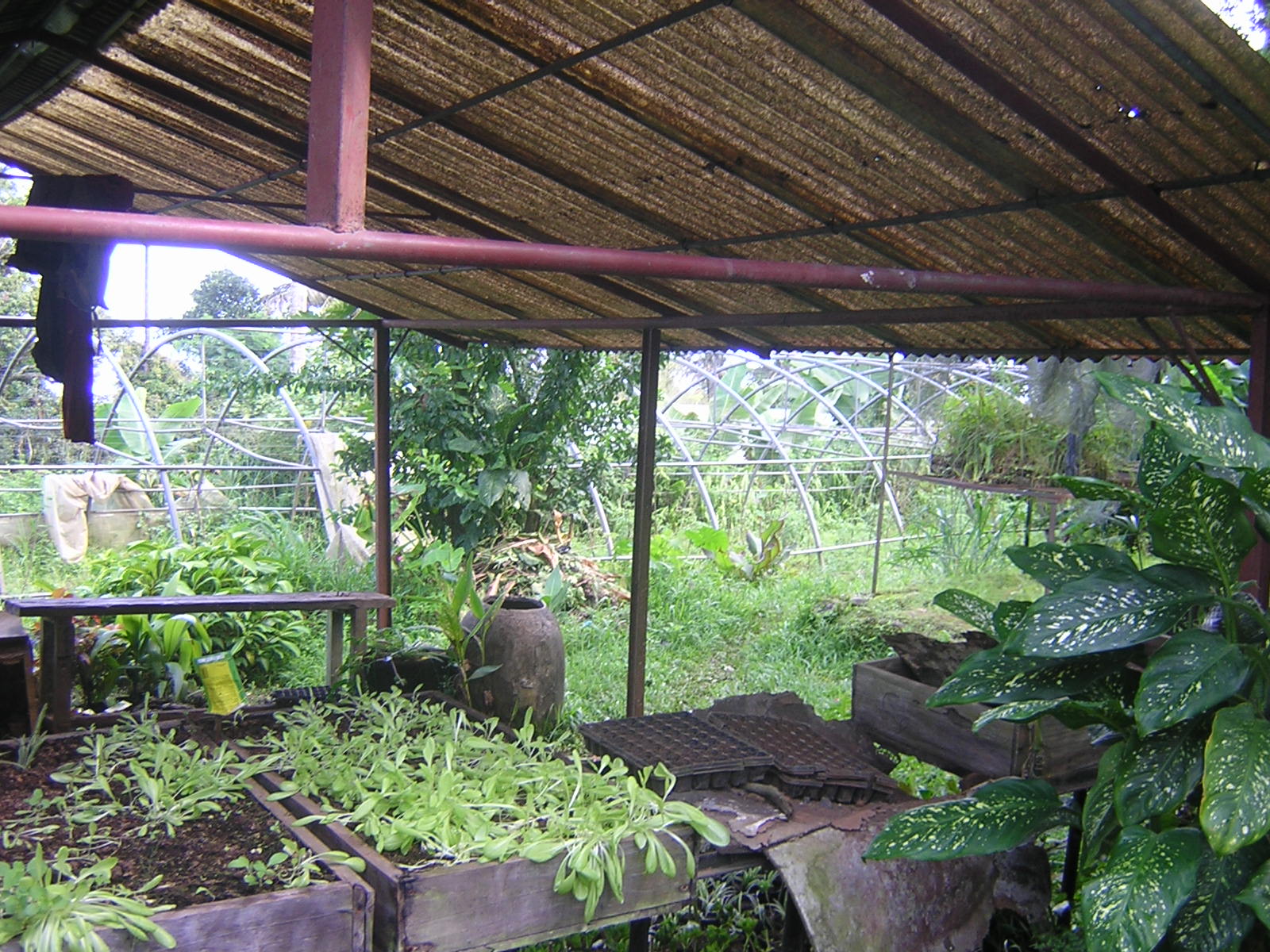 Cocoponic Project Environmental Protection And Conservation